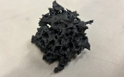STEP 55 | (working title)