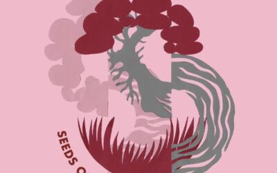 Seeds of Solidarity School for Caring Futures | Skopje